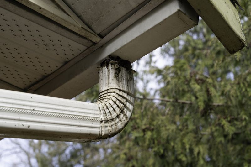 Downspout Cleaning in Longmont, CO