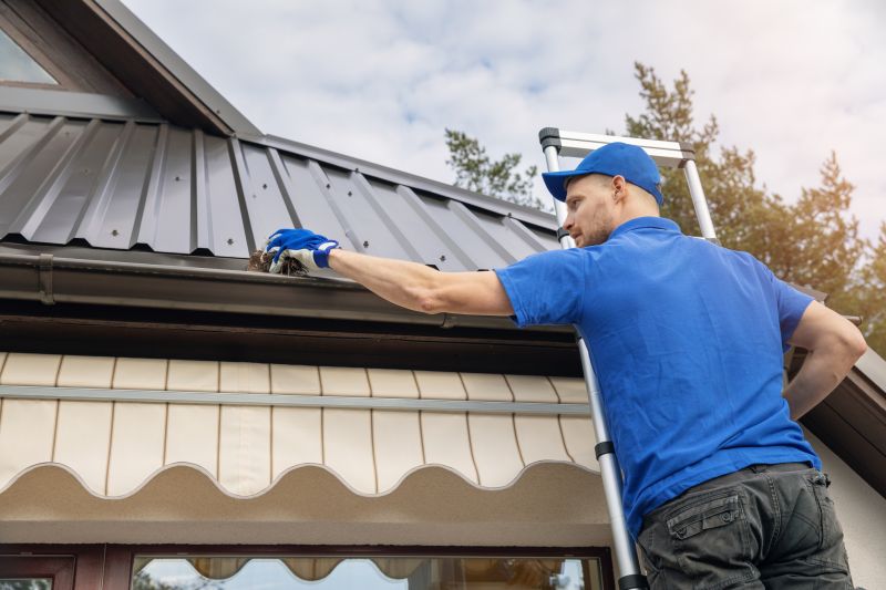 Gutter Cleaning in Richmond, VA