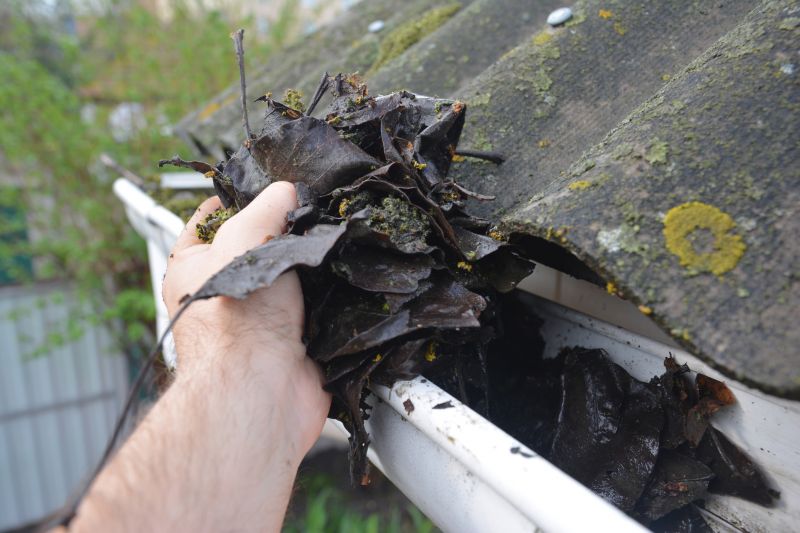 Gutter Leaf Clearing in Longmont, CO