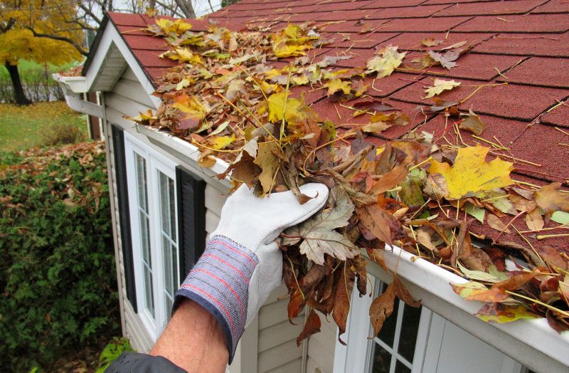 Rain Gutter Clearing in Longmont, CO