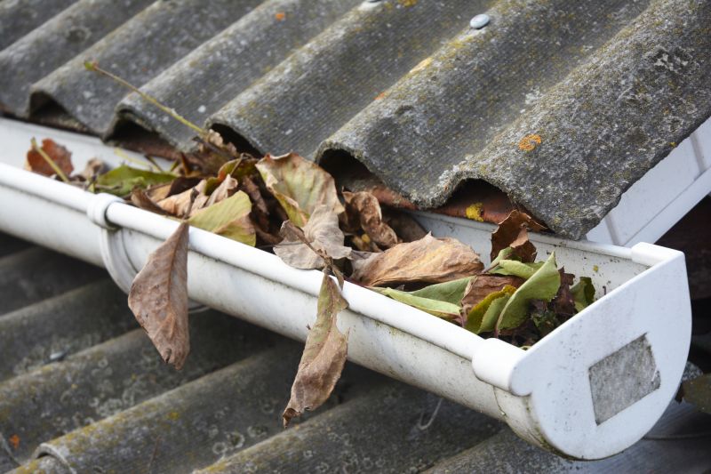 Clogged Gutter Clearing in Frederick, MD