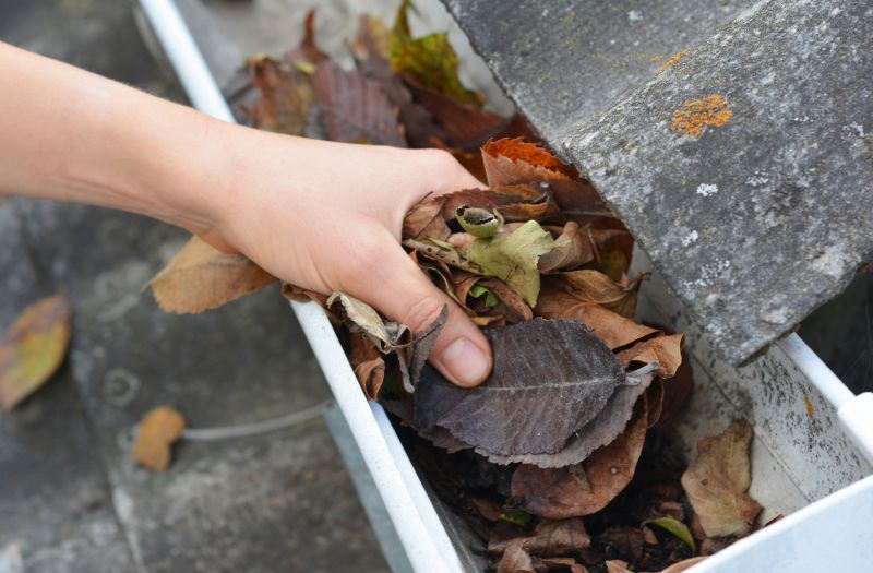 Commercial Gutter Maintenance in Denver, CO