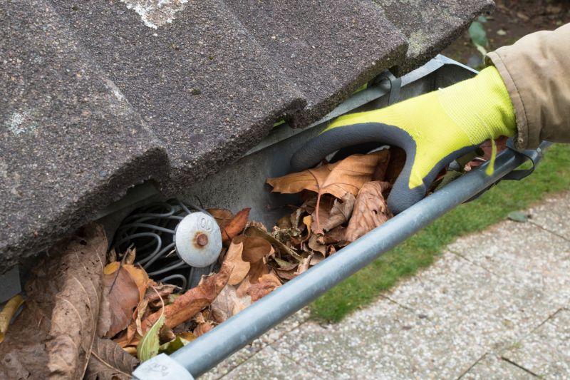 Commercial Gutter Maintenance in Denver County, CO