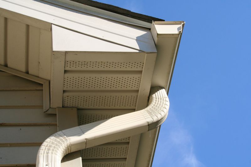 Downspout Snaking in Frederick, MD