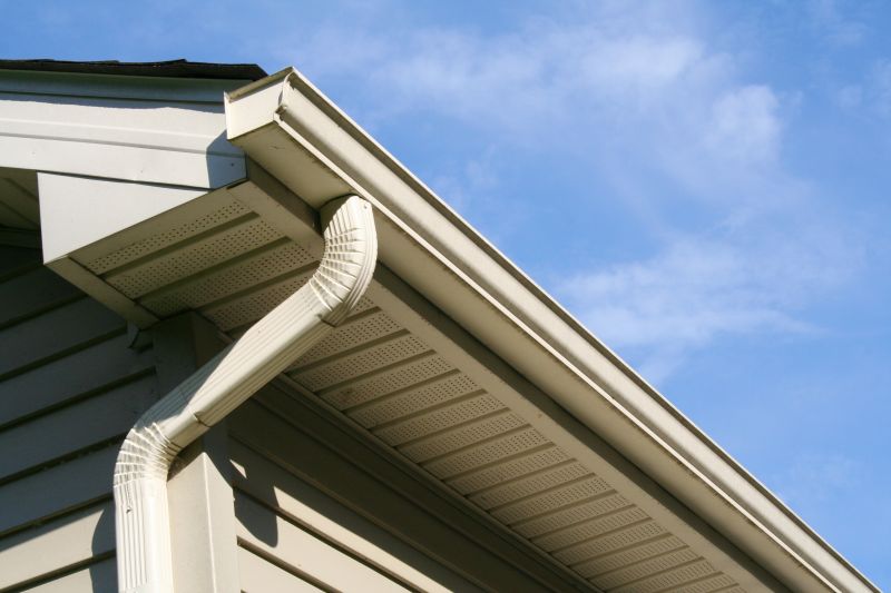 Eavestrough Clearing in Monmouth County, NJ