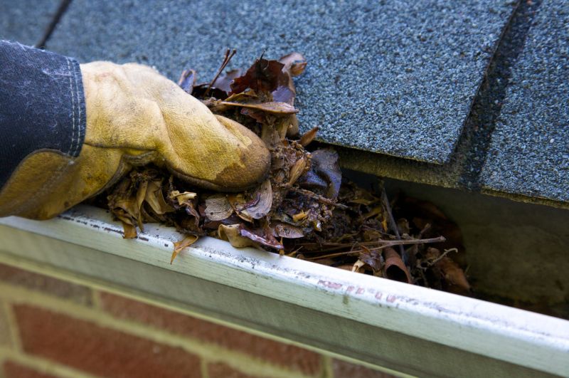 Gutter Blockage Removal in Arvada, CO