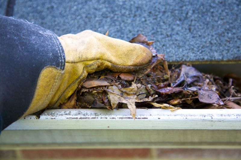 Gutter Blockage Removal in Longmont, CO