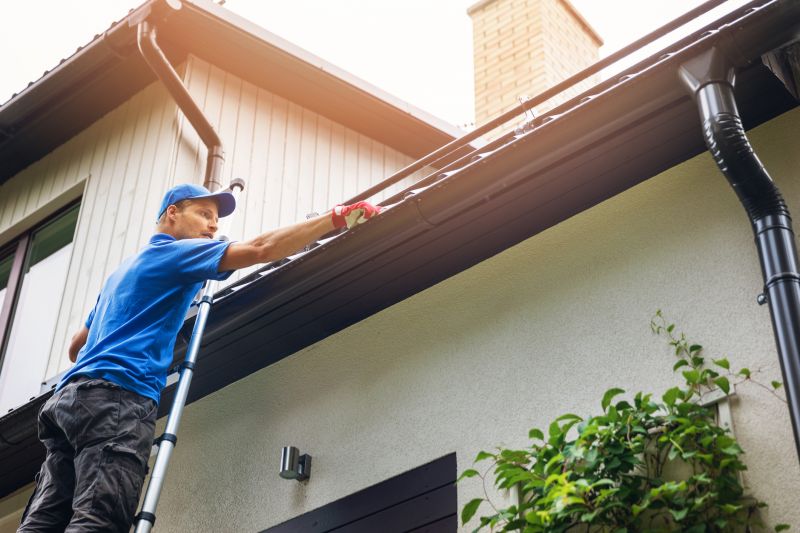 Gutter Cleaning in Annapolis, MD