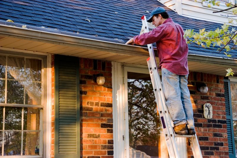 Gutter Cleaning in Annapolis, MD