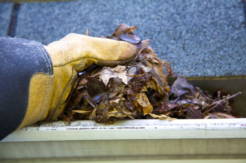 Gutter Leaf Clearing in Arvada, CO