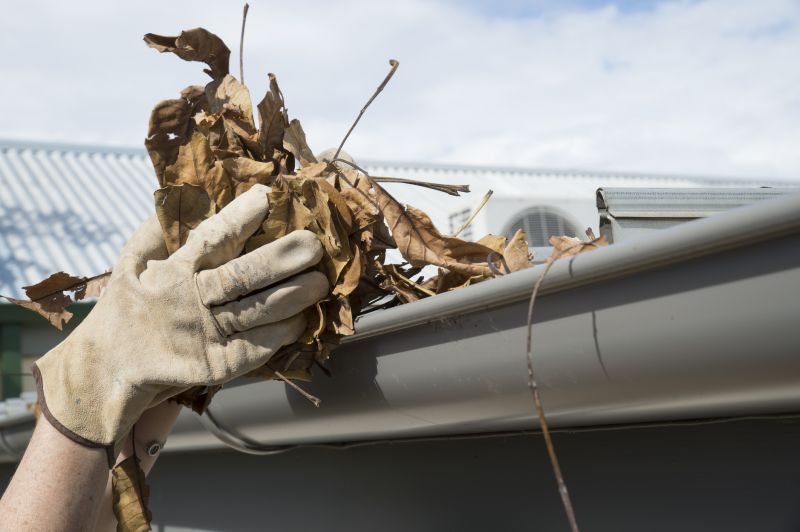Gutter Leaf Clearing in Fredericksburg, VA