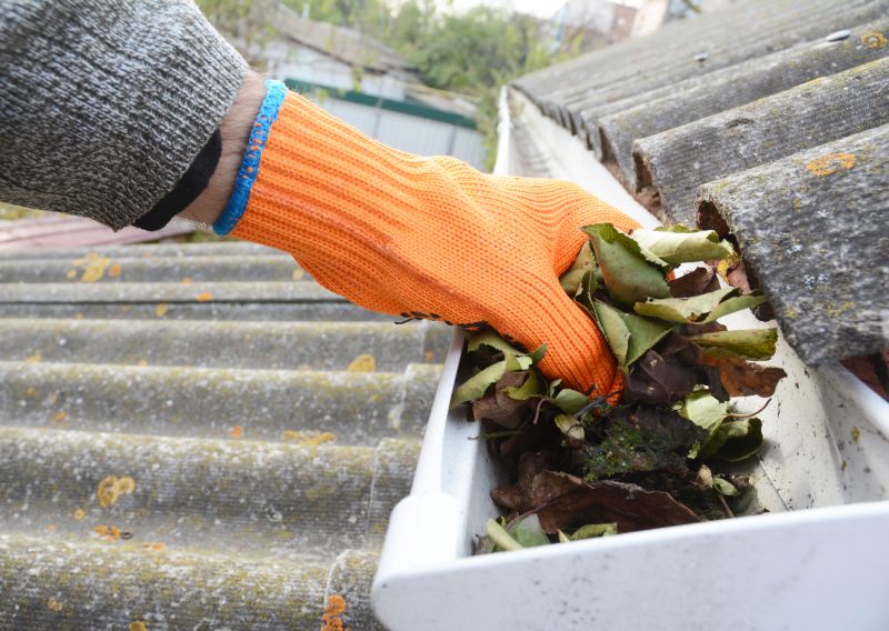 Gutter Leaf Clearing in Bergen County, NJ