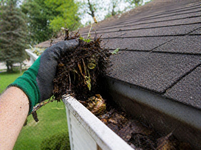 Gutter Leaf Clearing in Baltimore, MD