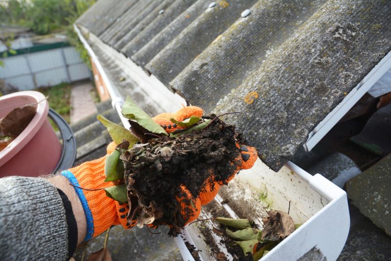 Gutter Leaf Clearing in Baltimore, MD