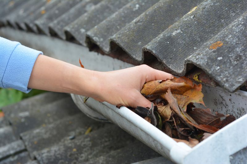 Gutter Leaves Removal in Bergen County, NJ