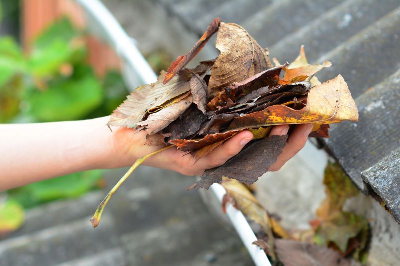 Gutter Leaves Removal in Pittsburgh, PA