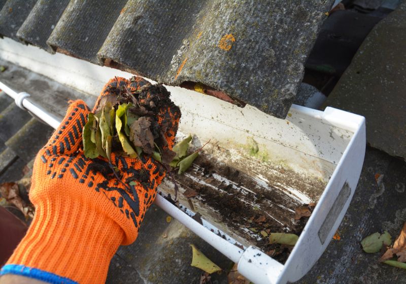 Gutter Maintenance in Longmont, CO