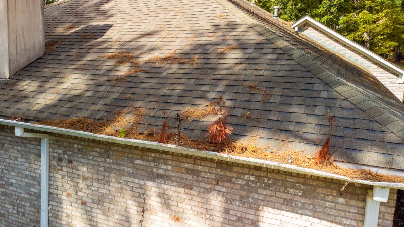 Gutter Pine Needle Removal in Long Island, NY