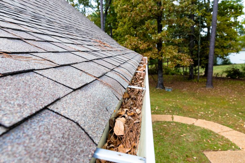 Gutter Pine Needle Removal in Fredericksburg, VA