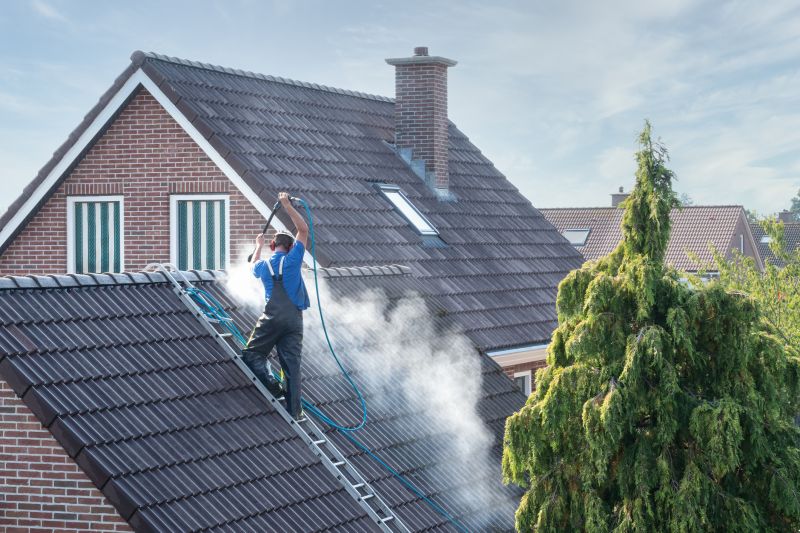 Roof Dirt Removal in Vancouver, WA
